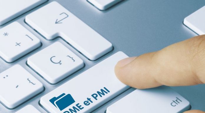 PME et PMI